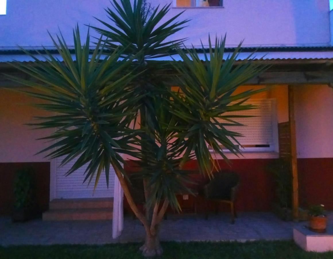 Casablanca El Petit Hotel Дельтебре Экстерьер фото